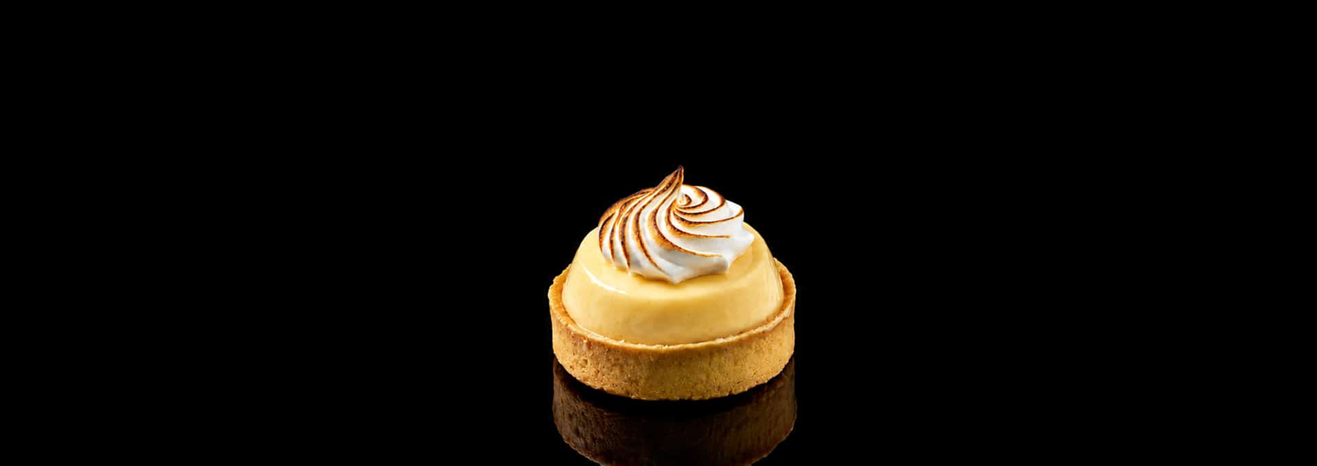 header contact